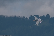 Czech Air Force Gripen
