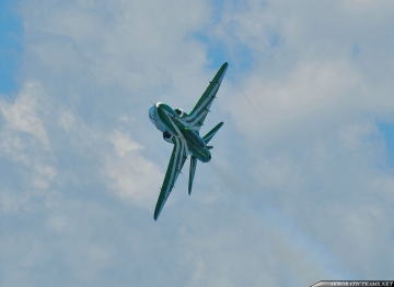 Saudi Hawks